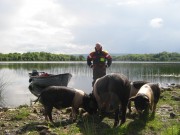 ABHAINN - (Erne) IMG_0098_1