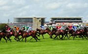 Galway Races