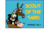 Scout of the Yard | RTÉjr radio