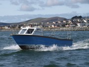 Dingle harbour