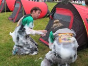 Mums Anne Daly and Joann Clarke race to open the tent to find the safe number. SHAKEDOWN THE TOWN, RTE TWO.