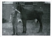 Gay Byrne - My Father's War Gay's Dad Edward Byrne 19th Hussars with horse - Restored