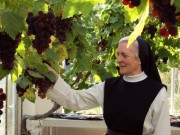 Mother Abbey in the Vineyard September Sun 055