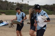 Blue Zoo Ep03_Jaymin and Dana Rescue Turtle