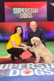 Superstar Dogs