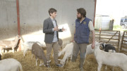 (25)Kitchen Hero Donal's Irish Feast,prog four, Tuesday 16th June(Donal with Charlie Cole of Broughgammon Goat Meat