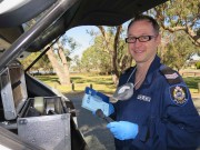 Garda Down Under - Peter Crosbie Forensic