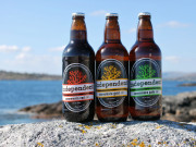 Beatha agus Sláinte