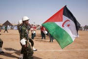 Algeria Western Sahara, What in the World? RTÉ One