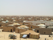 Algeria Western Sahara, What in the World? RTÉ One