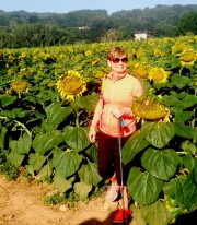 THE WALK OF LIFE -  A Would You Believe? Special Liz with sunflowers