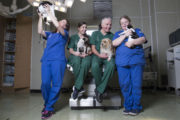 The Pet Surgeons Jess Hart with Frank the Cat Sophia Mackey with her pug Izzy Shane Guerin with his dog Mimi Mairead Deasy with Louie