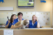 The Pet Surgeons Niamh Treharne Kathleen O Brien and Valerie Levis with Dinky