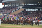 The Iirsh Grand National: Chasing A Dream Fairyhouse D2 Nat 3