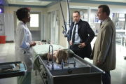 BLUE BLOODS BLU-epi718-D00250i