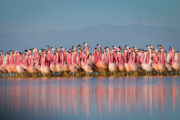 PLANET EARTH II_ Mountains