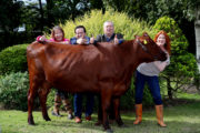 NO FEE RTE PLOUGHING CHAMPIONSHIPS MX-1