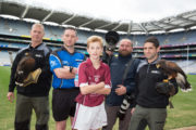 All Ireland Day: The Hurling Final Pic Paul Sharp/SHARPPIX
