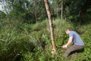 The Hardest Harvest s01e03 -Jamie Hawan Forestor in Uganda felling timber by hand2