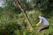 The Hardest Harvest s01e03 -Jamie Hawan Forestor in Uganda felling timber by hand3
