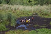 The Hardest Harvest s01e03 -Jamie Hawan Forestor in Uganda water collection from Swamp3