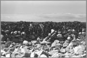 Seaweed / Aran Islands