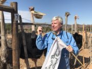 Francis Brennan's Grand Tour South Africa Episode 4 - An Ostrich takes a fancy to Francis Brennan's hat 1