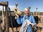 Francis Brennan's Grand Tour South Africa Episode 4 - An ostrich takes a fancy to Francis Brennan's hat