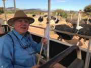 Francis Brennan's Grand Tour South Africa Episode 4 - Francis Brennan and some ostriches