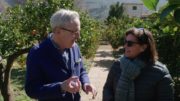 Rory O' Connell visits an orange orchard. A Long Weekend in ... with Rory O'Connell (New series, prog one) Thurs May 9th, RTÉ One ( Palma de Mallorca).