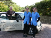 Cat Hospital - Clare Meade, Breena Cass, Chloe Gibson