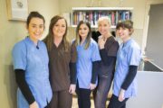 Breena Cass, Aisling O' Keeffe, Rachel Callahan, Clare Meade & Chloe Gibson - Cat Hospital