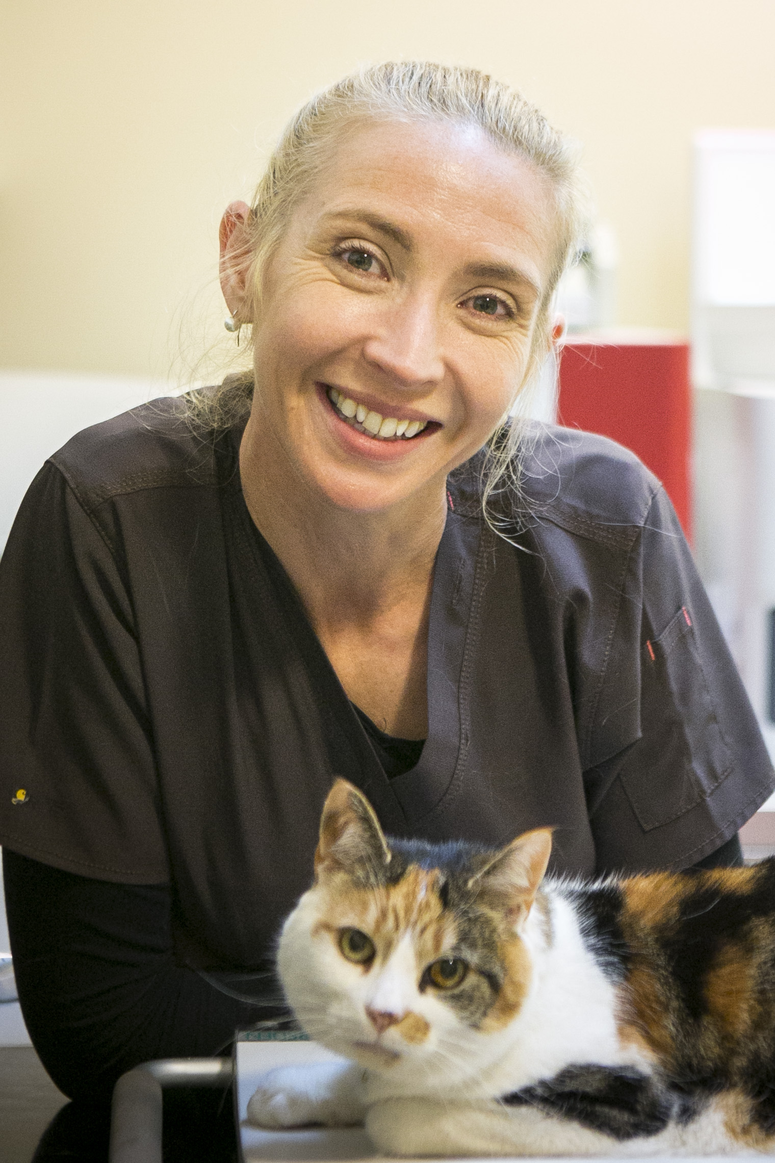 CAT HOSPITAL RTÉ Presspack