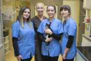 Rachel Callahan, Clare Meade (Back), Breena Cass, Chloe Gibson - Cat Hospital 3