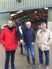 Darragh McCullough at the stables with David Doyle (centre), Development Officer at St Joseph's Foundation,and Eamon McCarthy, Chair of St Joseph's Foundation - Horse Therapy -