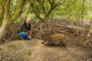 Killian and 2 Wild Boars #1 (EP4) (1)