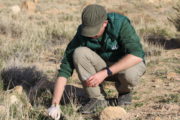 Brendan in Tunisia collecting samples