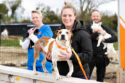 The Shelter DSPCA Picture Conor McCabe Photography.