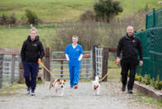 The Shelter DSPCA Picture Conor McCabe Photography.