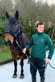 Séaghan Ó Súilleabháin