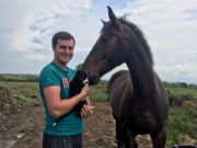 Séaghan Ó Súilleabháin