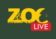 Zoo Live Logo