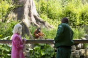 Zoo Live with Presenter Sinead Kennedy with Zoo Keeper...