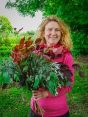 HOME GROWN ***New Series***