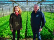 (47) Home Grown, new series, programme three. Presenter Kitty Scully with lettuce grower Mark McCann of Morning Fresh Farms. (Monday November 21