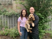 Orla, Paddy Joe & Fionnán the Cockapoo from county Antrim MADRAÍ